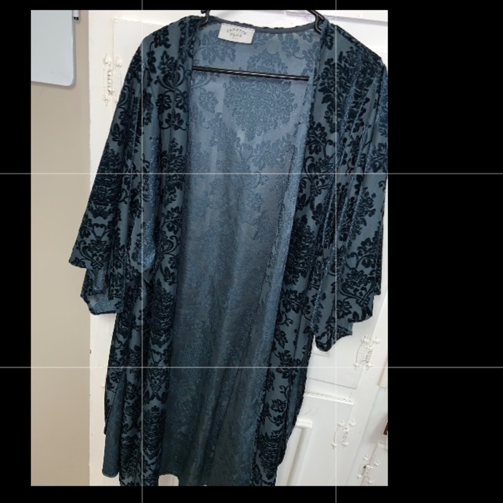 Janette plus Size 1x Kimono